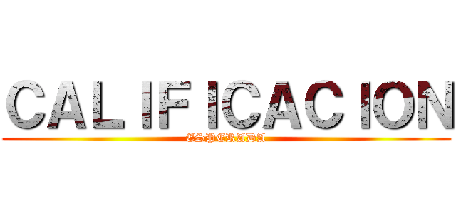 ＣＡＬＩＦＩＣＡＣＩＯＮ (ESPERADA)