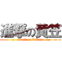 進撃の黄笠 (attack on Kikasa)