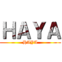 ＨＡＹＡ (HAYA)