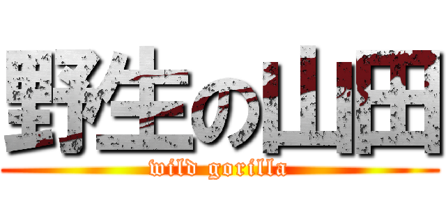 野生の山田 (wild gorilla)