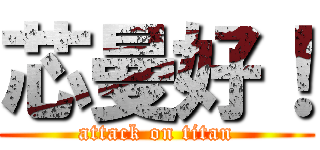 芯曼好！ (attack on titan)
