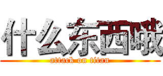 什么东西哦 (attack on titan)