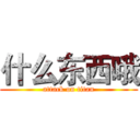 什么东西哦 (attack on titan)