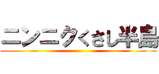 ニンニクくさし半島 ()