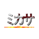 ミカサ (ミカサ)