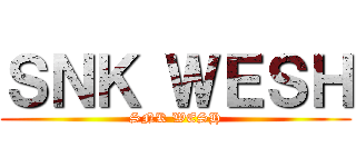 ＳＮＫ ＷＥＳＨ (SNK WESH)
