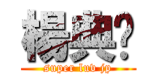 楊典錕 (super luv jp)