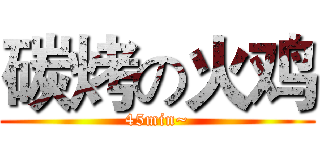 碳烤の火鸡 (45min~)