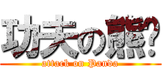 功夫の熊貓 (attack on Panda)
