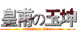 皇甫の玉坤 (attack on titan)