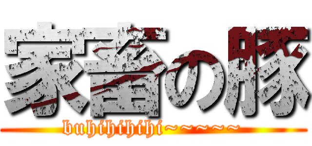 家畜の豚 (buhihihihi~~~~~)