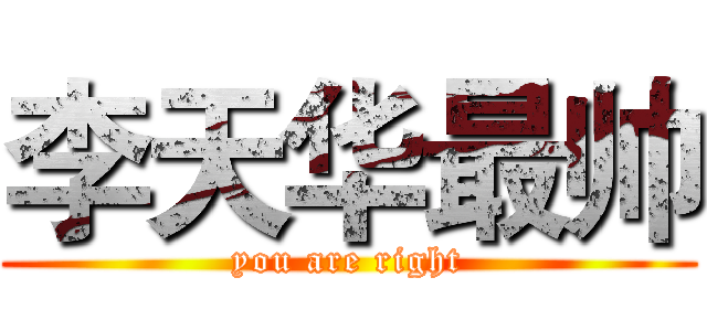 李天华最帅 (you are right)