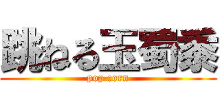 跳ねる玉蜀黍 (pop corn)