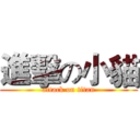 進擊の小貓 (attack on titan)