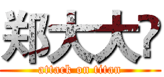 郑大大✌ (attack on titan)