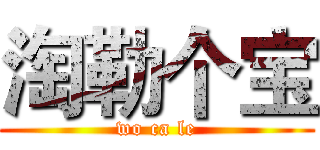 淘勒个宝 (wo ca le)
