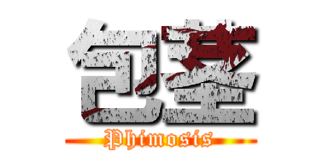 包茎 (Phimosis)