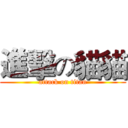 進擊の貓貓 (attack on titan)