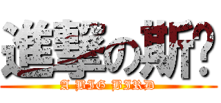 進撃の斯溫 (A BIG BIRD)