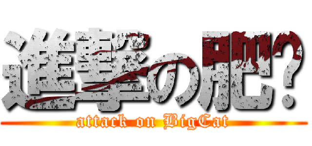 進撃の肥貓 (attack on BigCat)