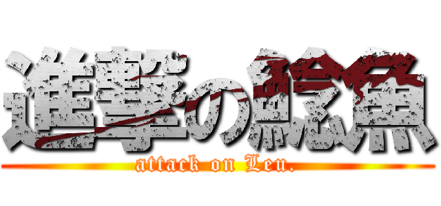進撃の鯰魚 (attack on Leu.)