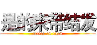 是的束带结发 (attack on titan)