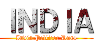 ＩＮＤＩＡ (India Pellicer Duro)