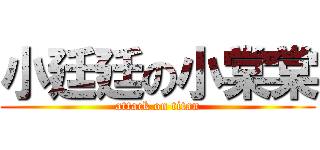 小廷廷の小棠棠 (attack on titan)