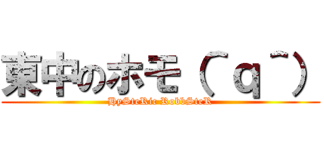 東中のホモ（＾ｑ＾） (HySteRic RobbSteR)