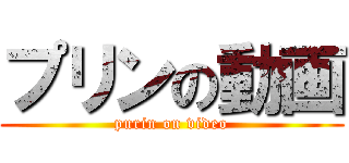 プリンの動画 (purin on video)