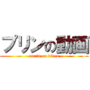 プリンの動画 (purin on video)