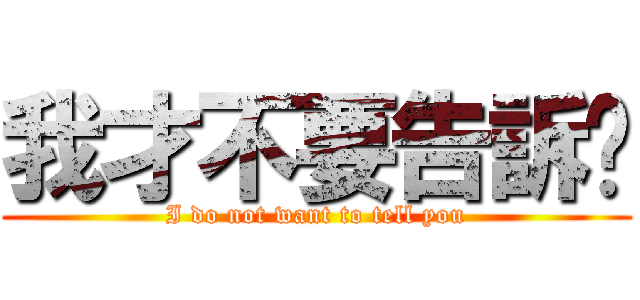 我才不要告訴你 (I do not want to tell you)