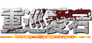 重巡愛宕 (lunacy of　panpakapan)