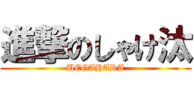 進撃のしゃけ汰 (UEGAHARA)