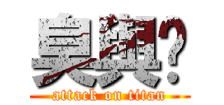 臭與咪 (attack on titan)