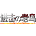 进击の老鸟 (attack on SexBird)