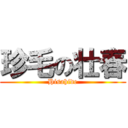 珍毛の壮春 (Hisahide)