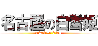 名古屋の白雪姫 (attack on titan)