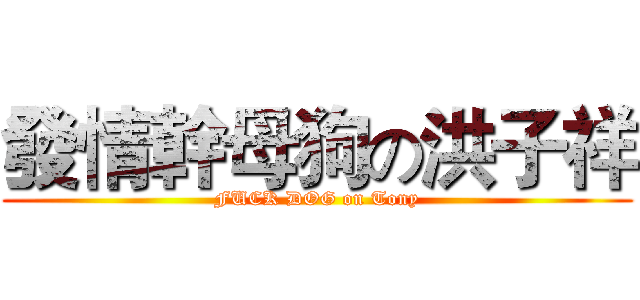 發情幹母狗の洪子祥 (FUCK DOG on Tony)