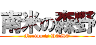 南米の森野 (Morino is HOMO)