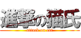 進撃の猫氏 (attack on cat)