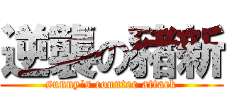 逆襲の豬新 (sunny\'s counter attack)