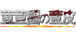 荳荳國の荳皮 (attack on titan)