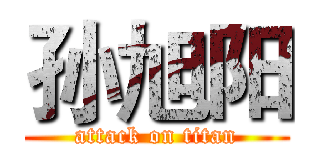 孙旭阳 (attack on titan)
