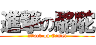 進撃の駱駝 (attack on Camel)