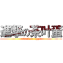 進撃の茶叶蛋 (attack on eggs)