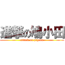 進撃の鳩小田 (attack on pigeon)