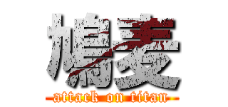 鳩麦 (attack on titan)