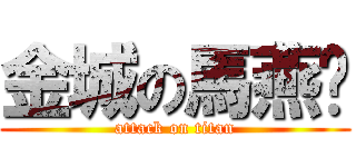 金城の馬燕翎 (attack on titan)