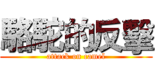 駱駝的反擊 (attack on camel)